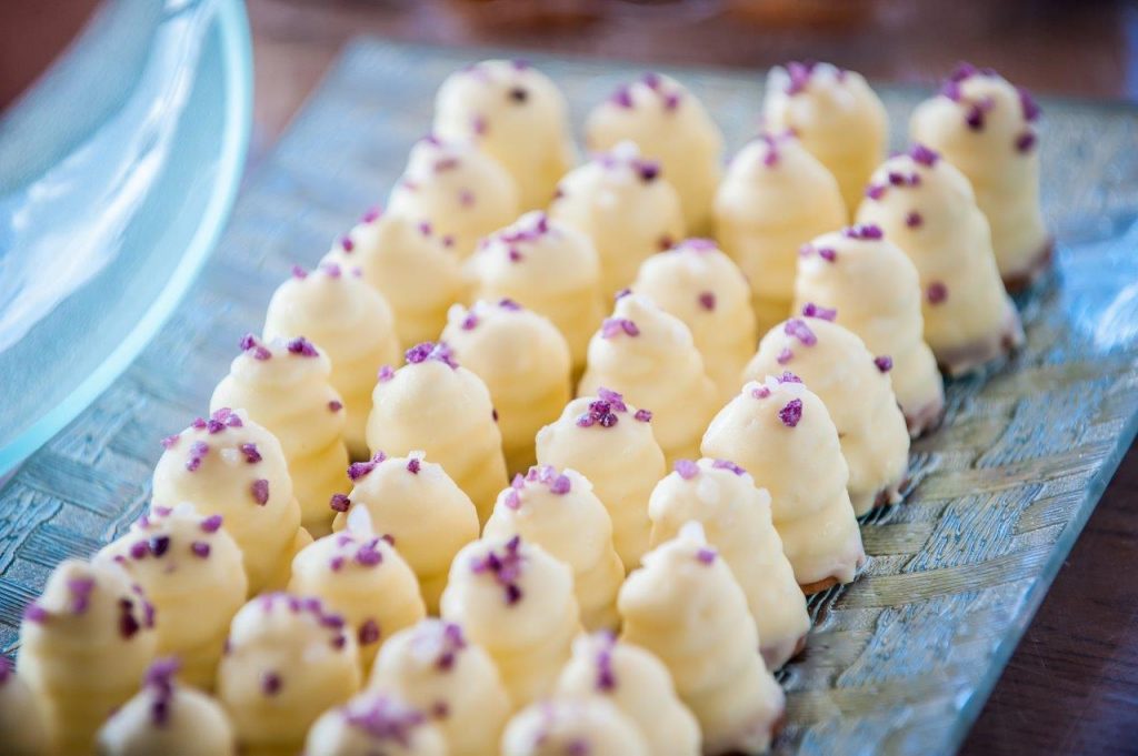 Morris Revah - Pic_027